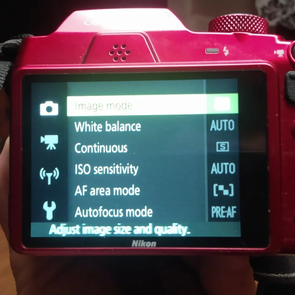 Nikon pretty much